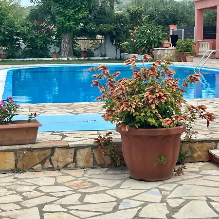 Elena Pool 2*